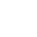 Businesses Digitized