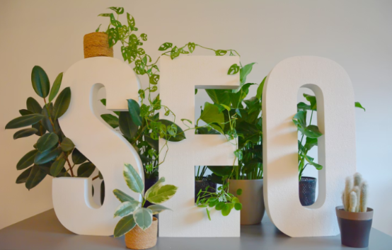 Search Engine Optimisation